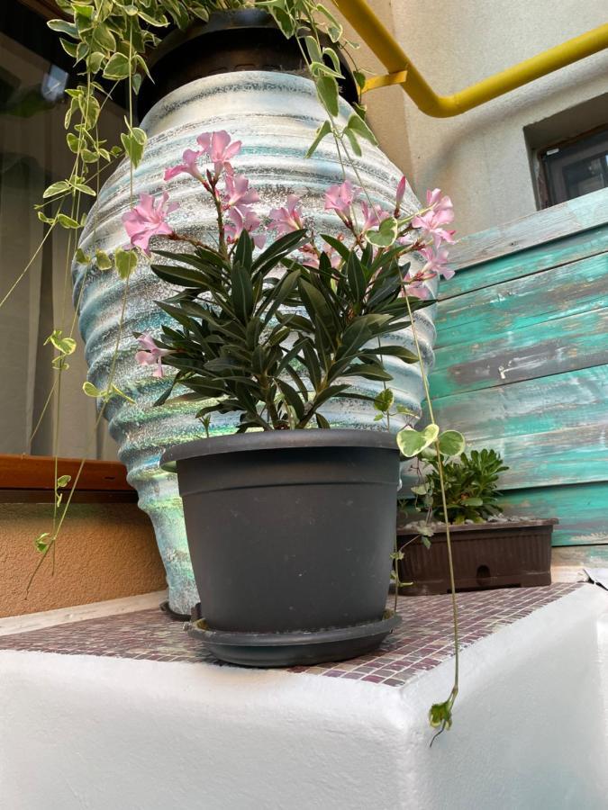 Arcadia Apartament Mamaia Nord Năvodari Екстериор снимка